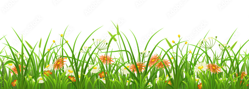无缝绿草，白底花朵