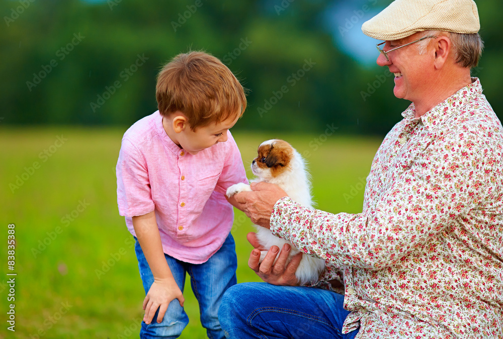 grandpa and grandson playing with little puppy, summer outdoors