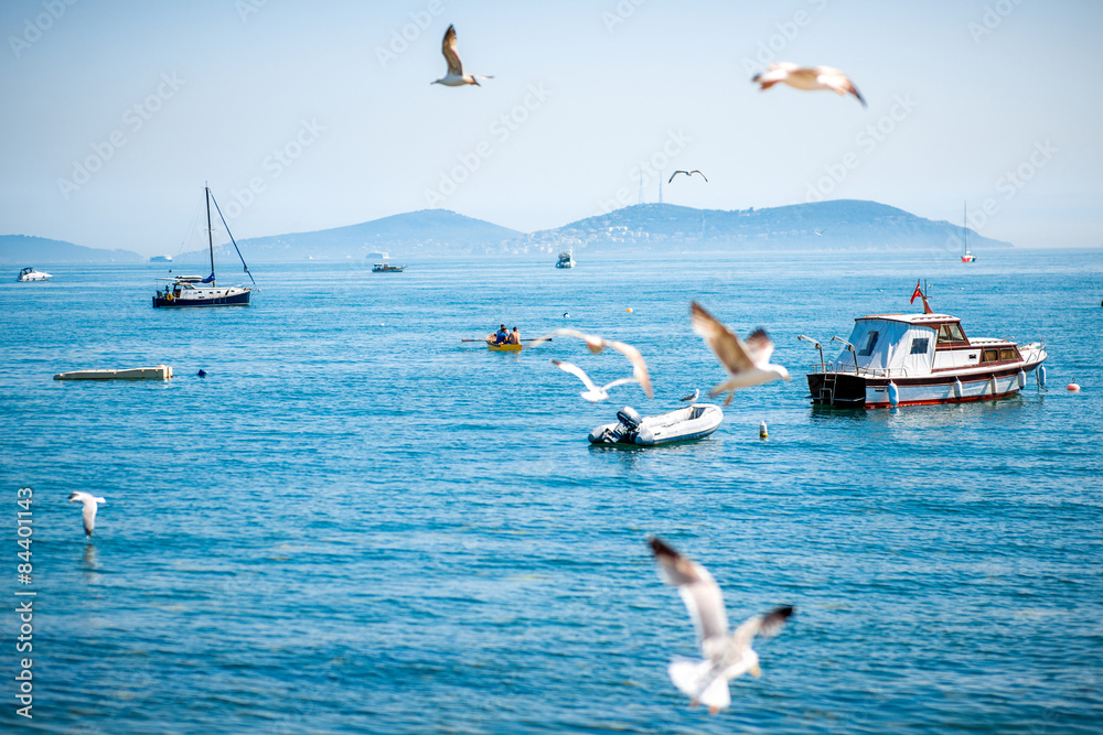 伊斯坦布尔海鸥和船只的海景