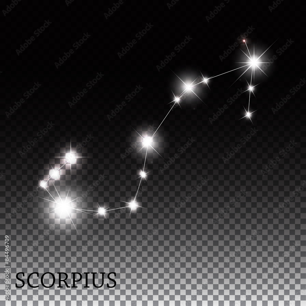 天蝎座美丽明亮恒星的星座矢量幻觉