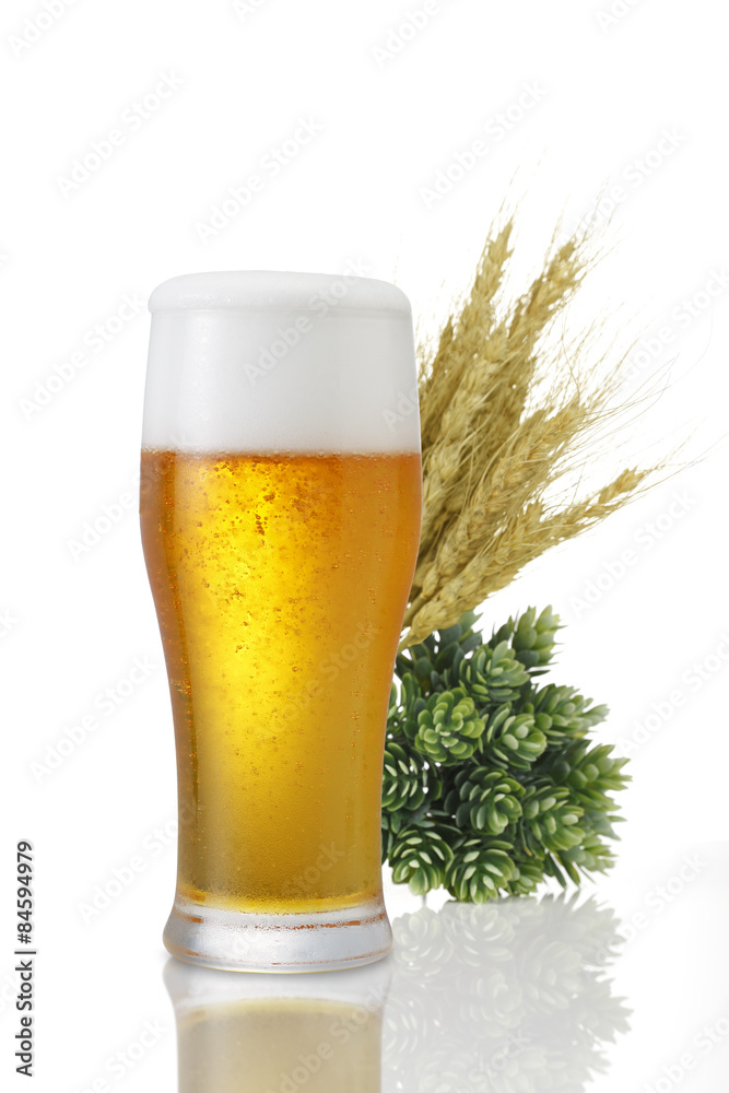 麦とホップとビール/白背景の上にホップと麦とグラスビールが並んでいる。