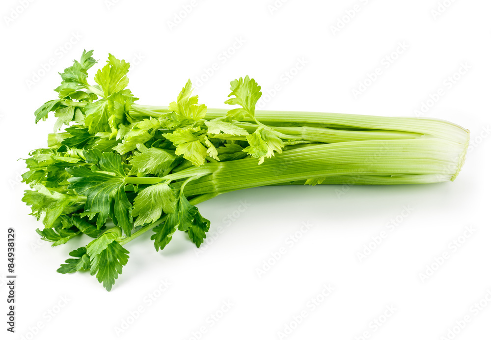 新鲜的绿色芹菜在白色上分离