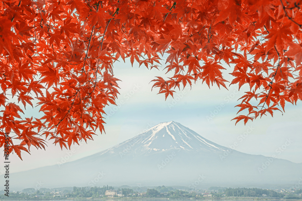 Mount Fuji reflected in Lake Kawaguchiko with fall colors, Japan