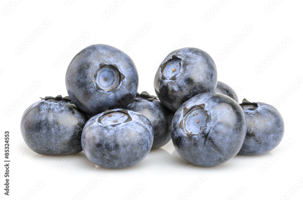 在白底上分离的蓝莓