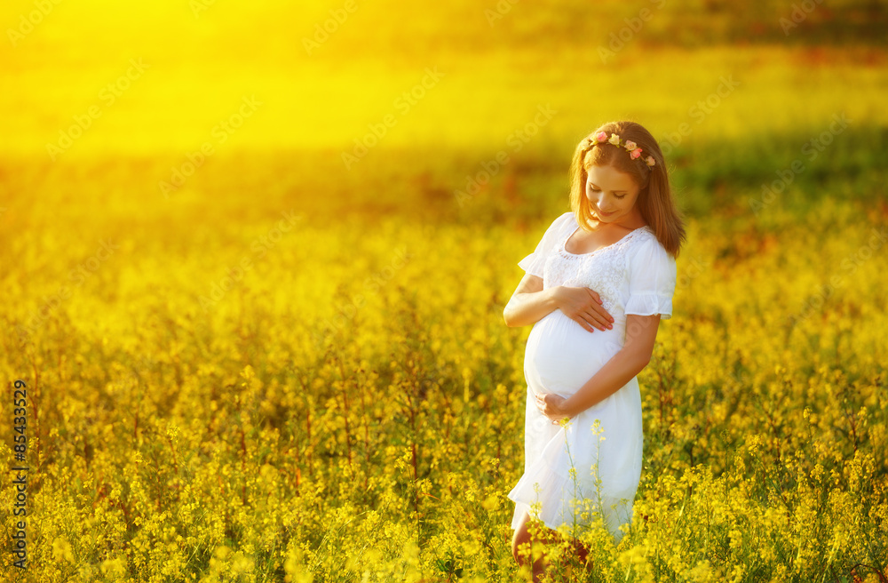 美丽的孕妇在黄色绒毛的夏季自然草地上