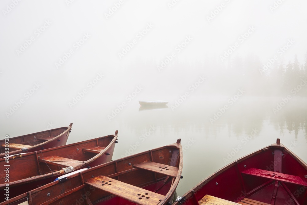 神秘迷雾中的船