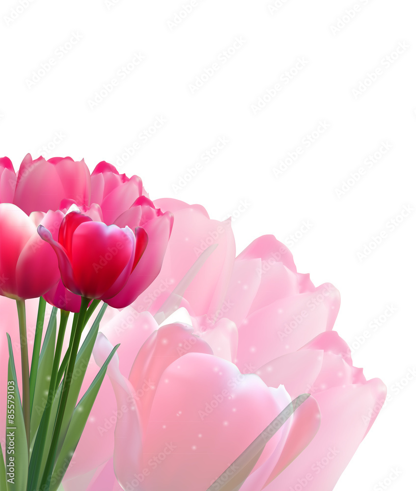 郁金香矢量插图的花卉背景