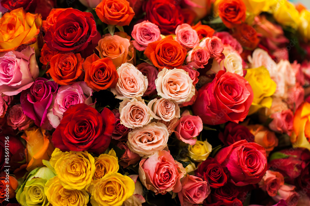 美丽的五彩玫瑰花束