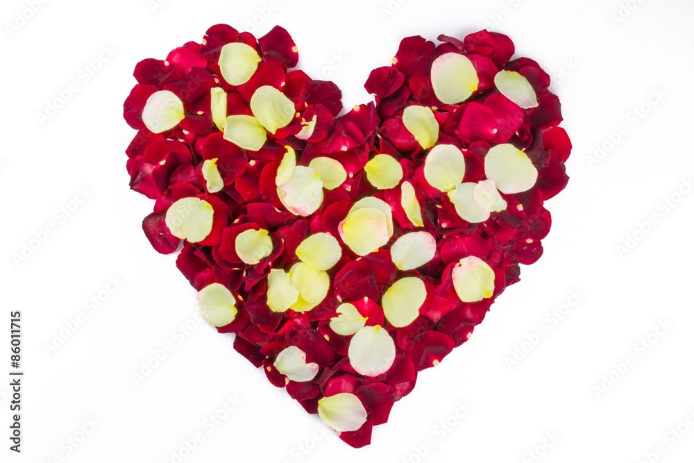 心形，情人节，玫瑰花瓣。