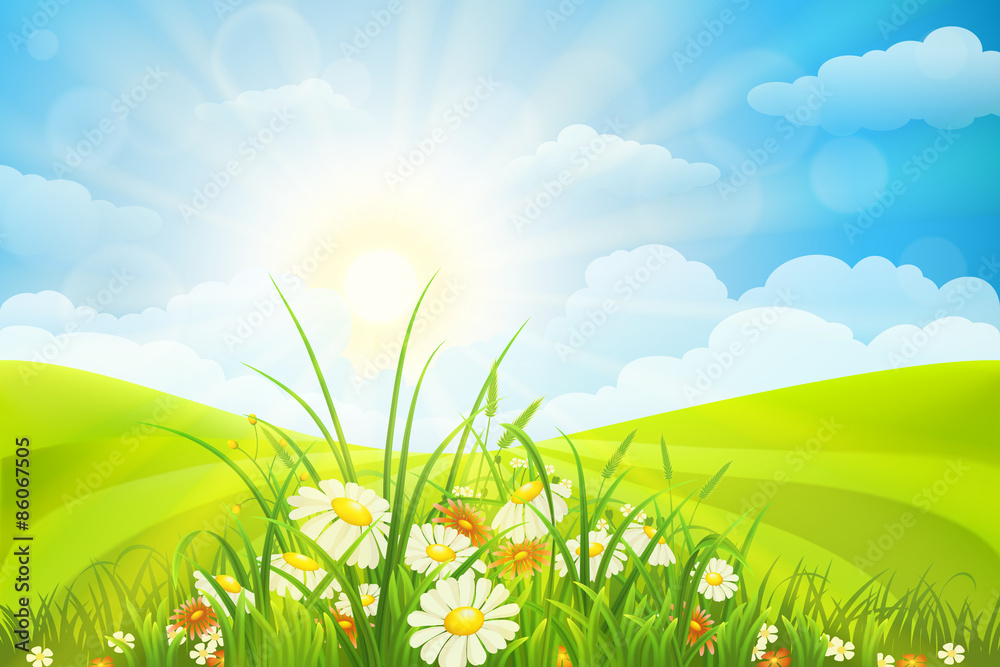 夏天的背景是花、草、田、天和太阳