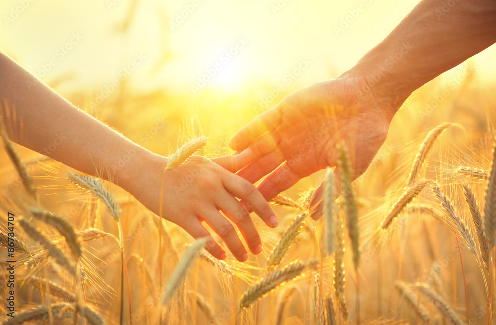 美丽的日落下，一对情侣手牵着手，走在金色的麦田上