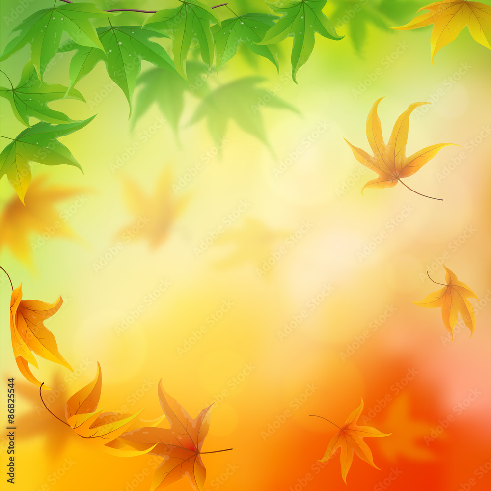 From summer to autumn falling leaves background