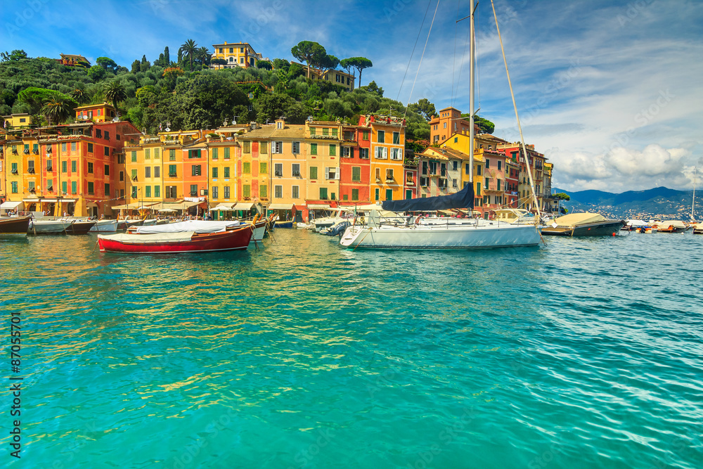 波托菲诺全景，豪华海港和五颜六色的房子，意大利利古里亚，欧洲