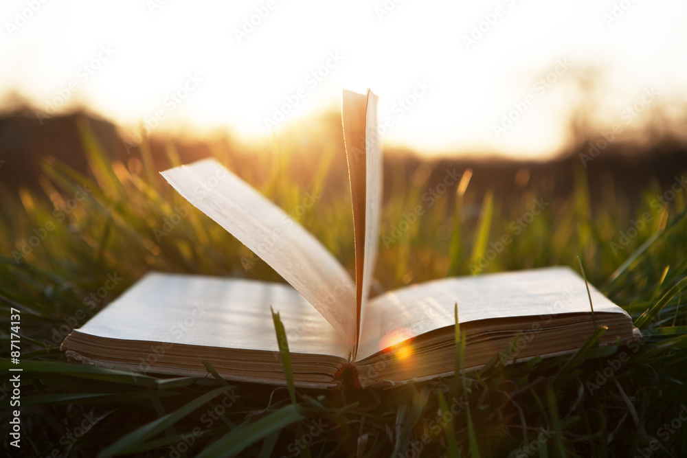 在阳光下的草地上打开书本
