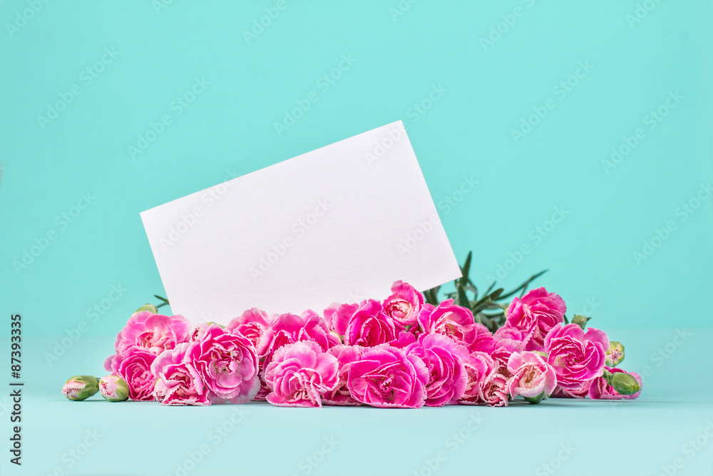 pink carnation flowers with blank card