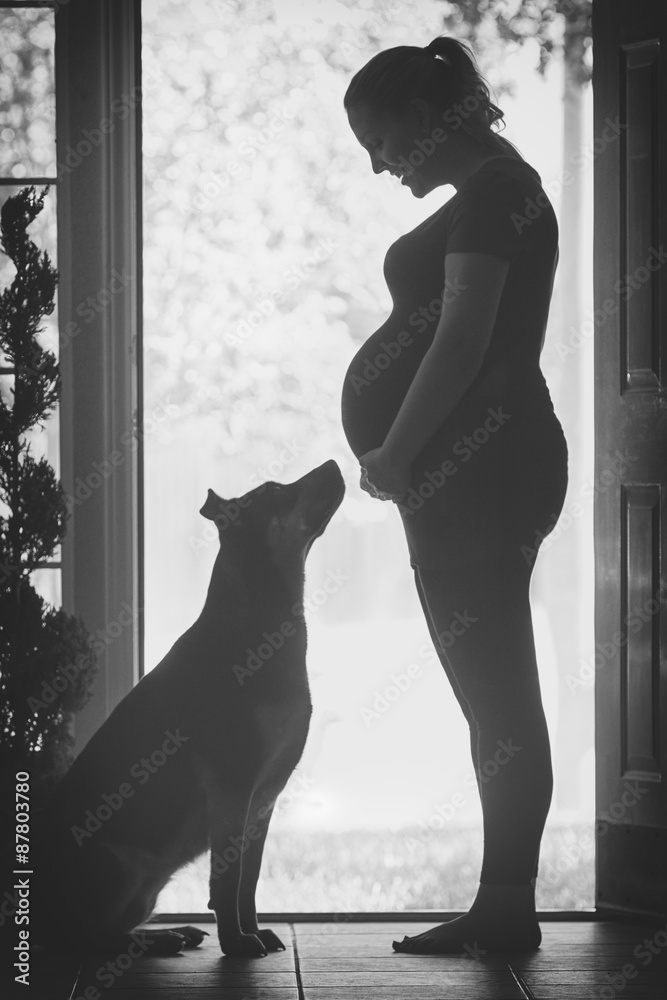 孕妇带狗