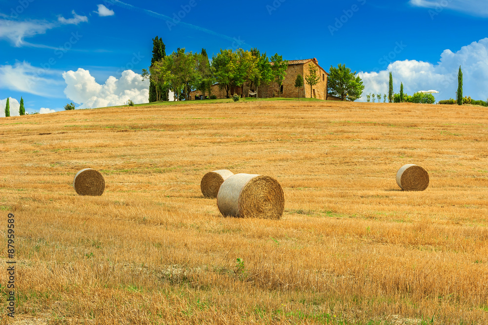 意大利托斯卡纳、欧洲的乡村景观和干草包