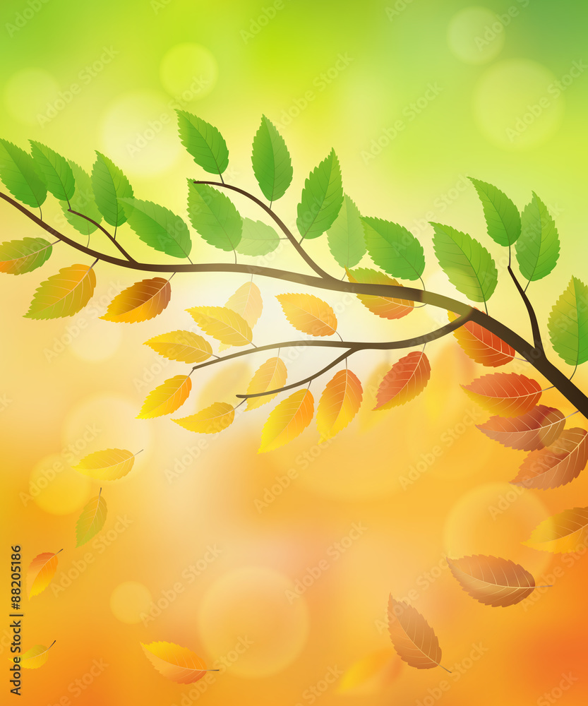 Nature background with branch and falling leaves from summer to autumn