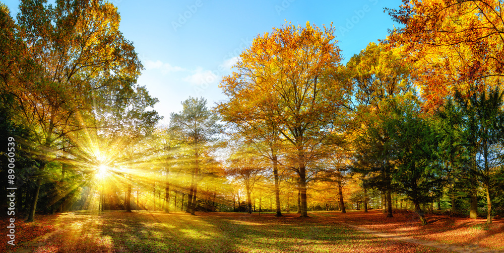 Idyllischer Naturpark im Herbst bei Sonnenschein