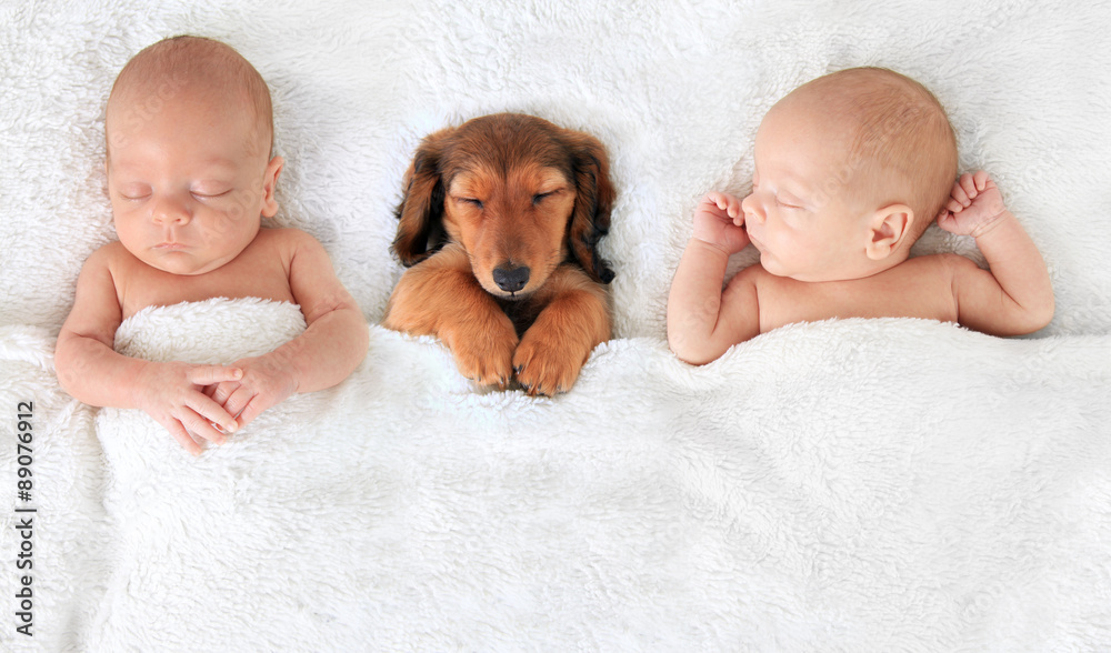 新生儿和小狗