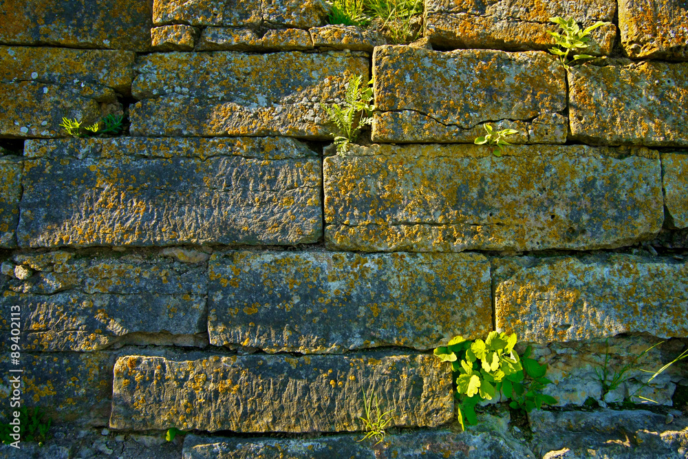 古老的砖墙。年代超过600年