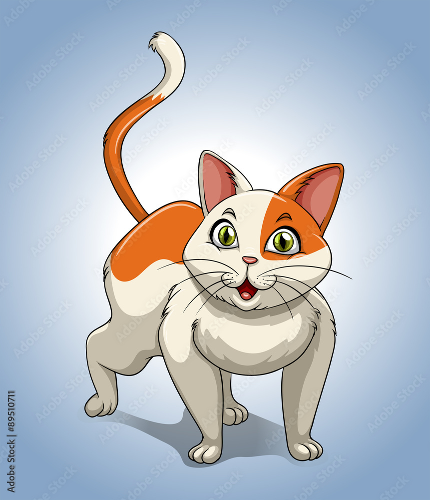 Cute kitten with orange and white fur