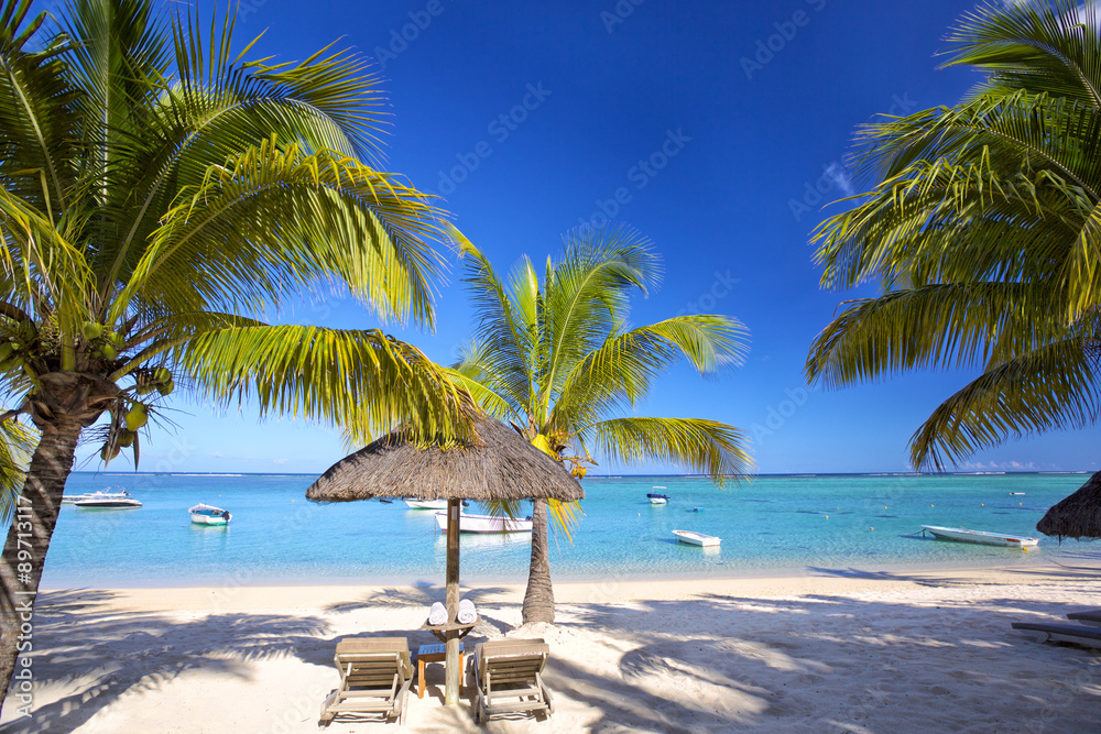 毛里求斯岛的沙滩、棕榈树、带伞躺椅