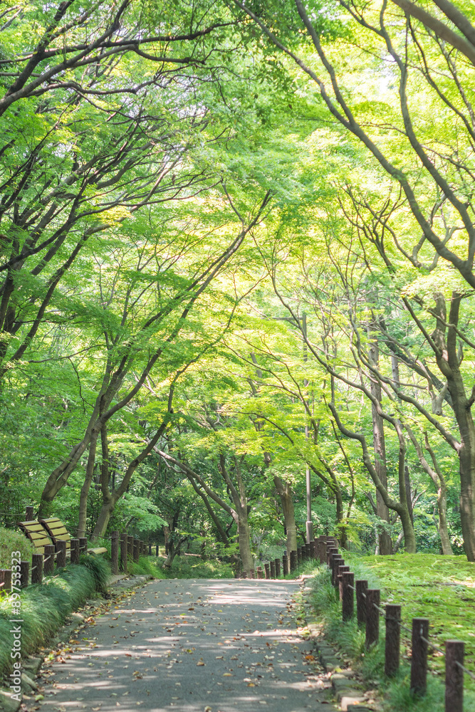 日本东京北野丸公园长廊