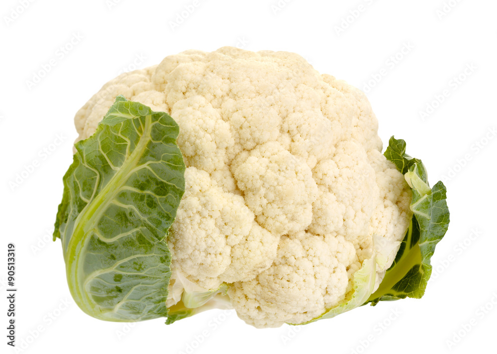白色卷心菜蔬菜