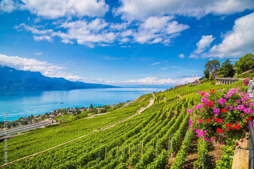 瑞士沃州日内瓦湖美丽的拉沃葡萄酒产区