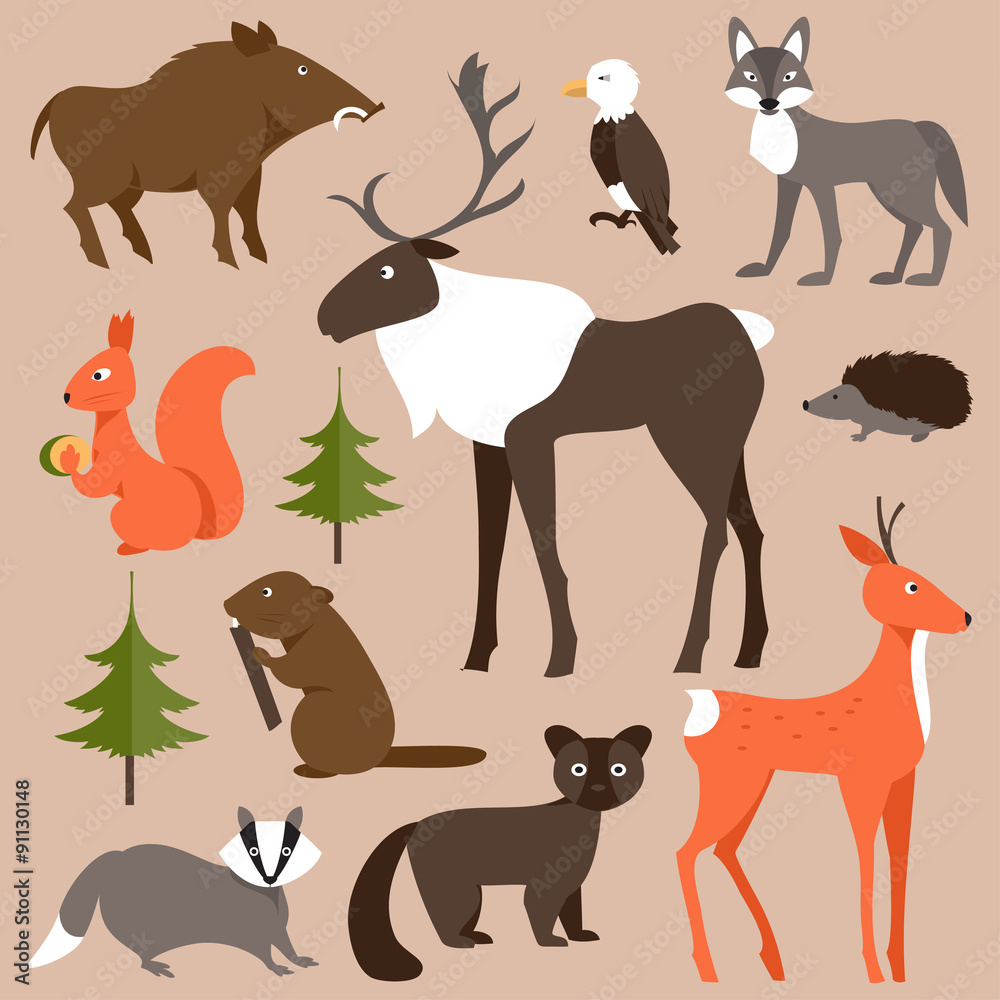 森林动物集。矢量插图