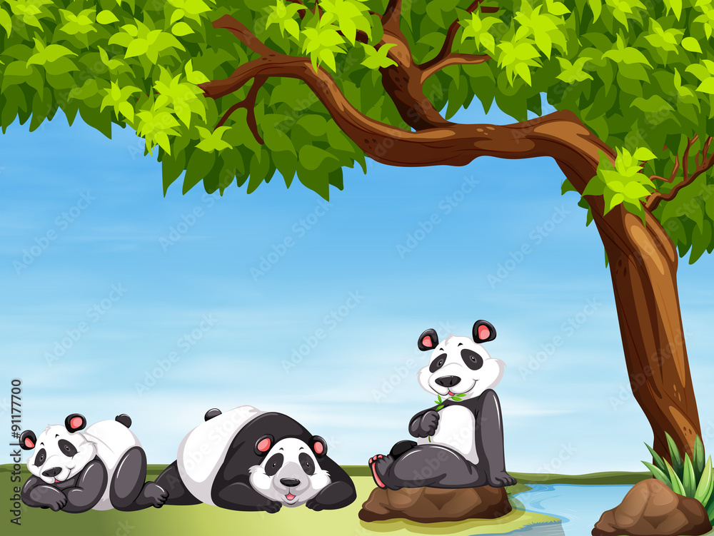 熊猫坐在树下