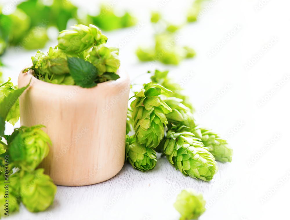 Fresh hop in wooden bowl on white table