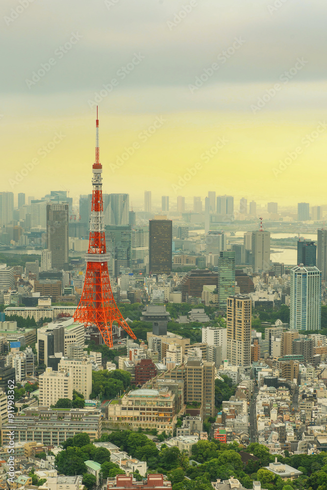 Tokyo tower with cityscape in Japan