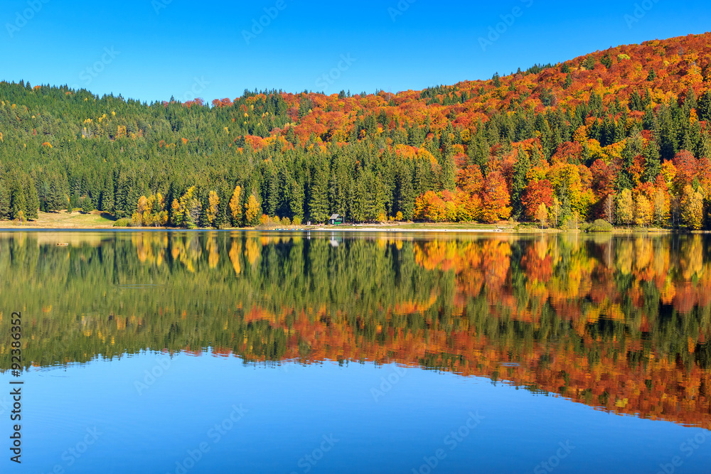 罗马尼亚特兰西瓦尼亚圣安娜湖彩色森林的秋季景观