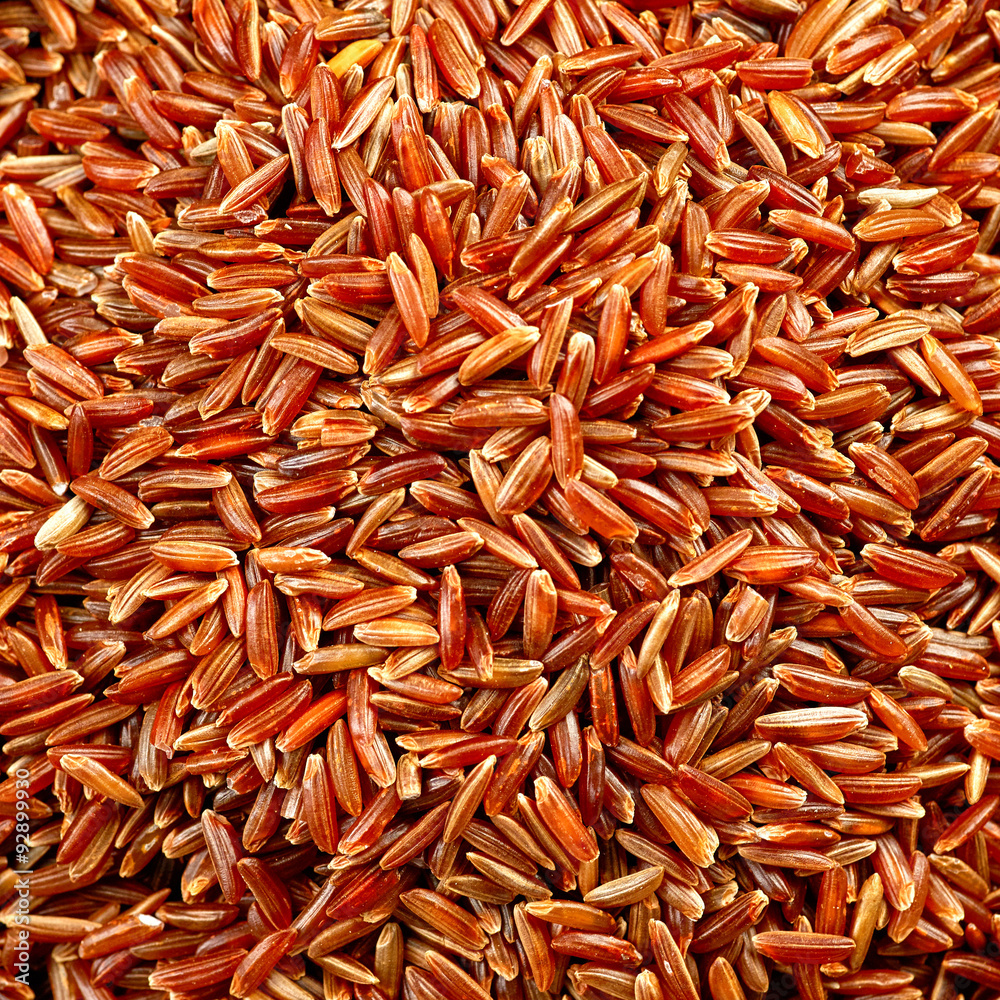 一碗红色野生稻