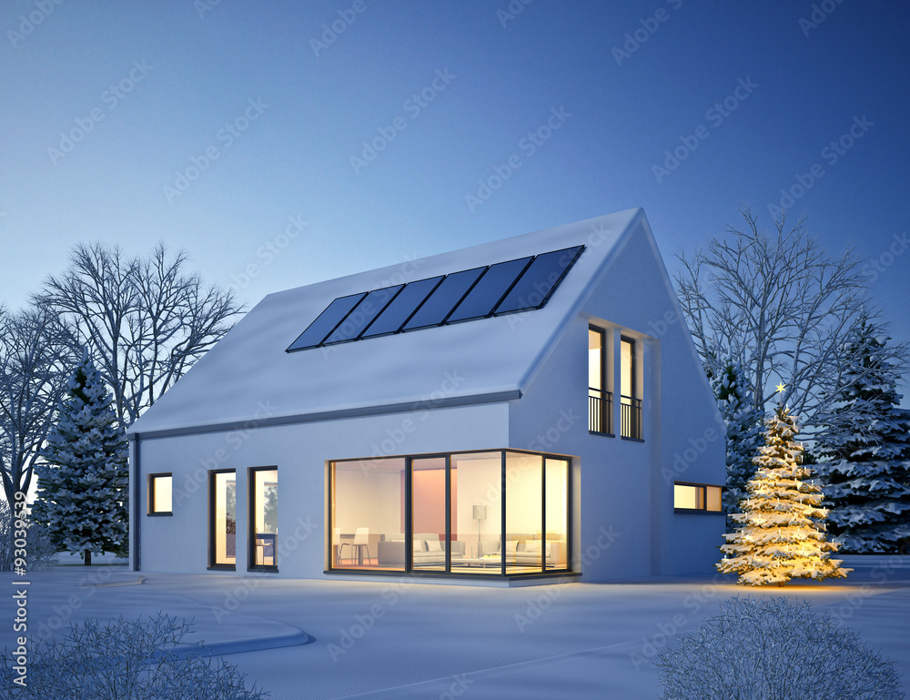 Haus Modern Winter