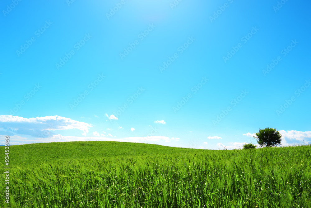 Bellissima collina verde ondulata - cielo e terra - verde e azzurro