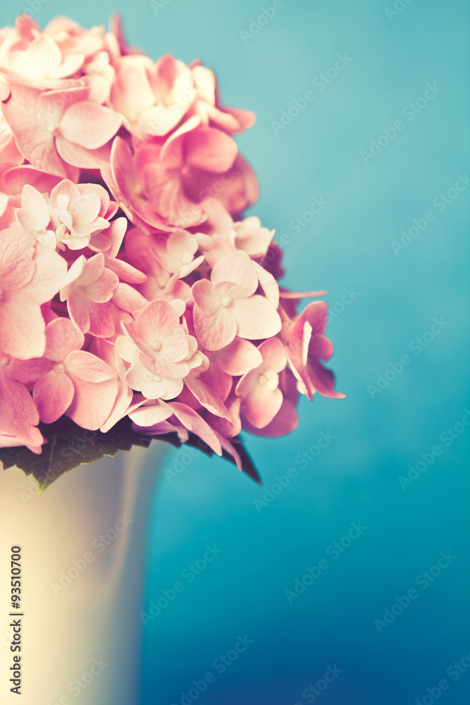 vintage and retro color tone of the sweet  hydrangea flowers in