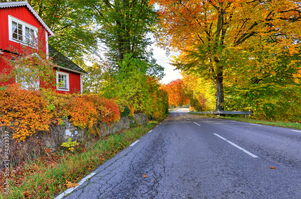 秋季瑞典道路颜色