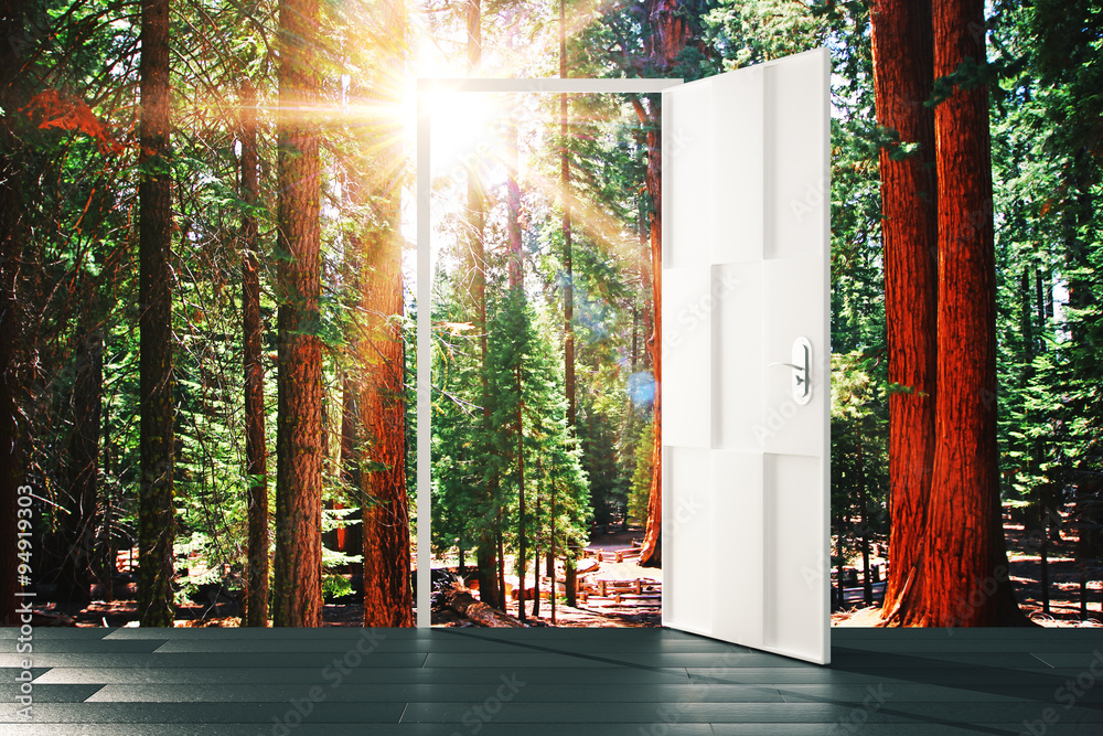 Open door to the sunny forest concept
