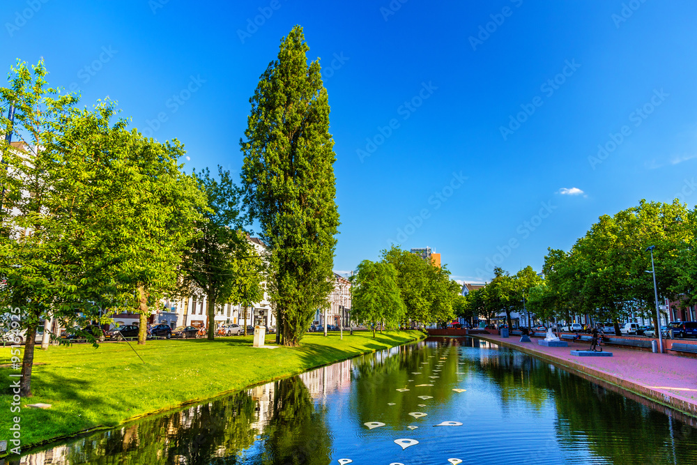 公园里的池塘——荷兰鹿特丹