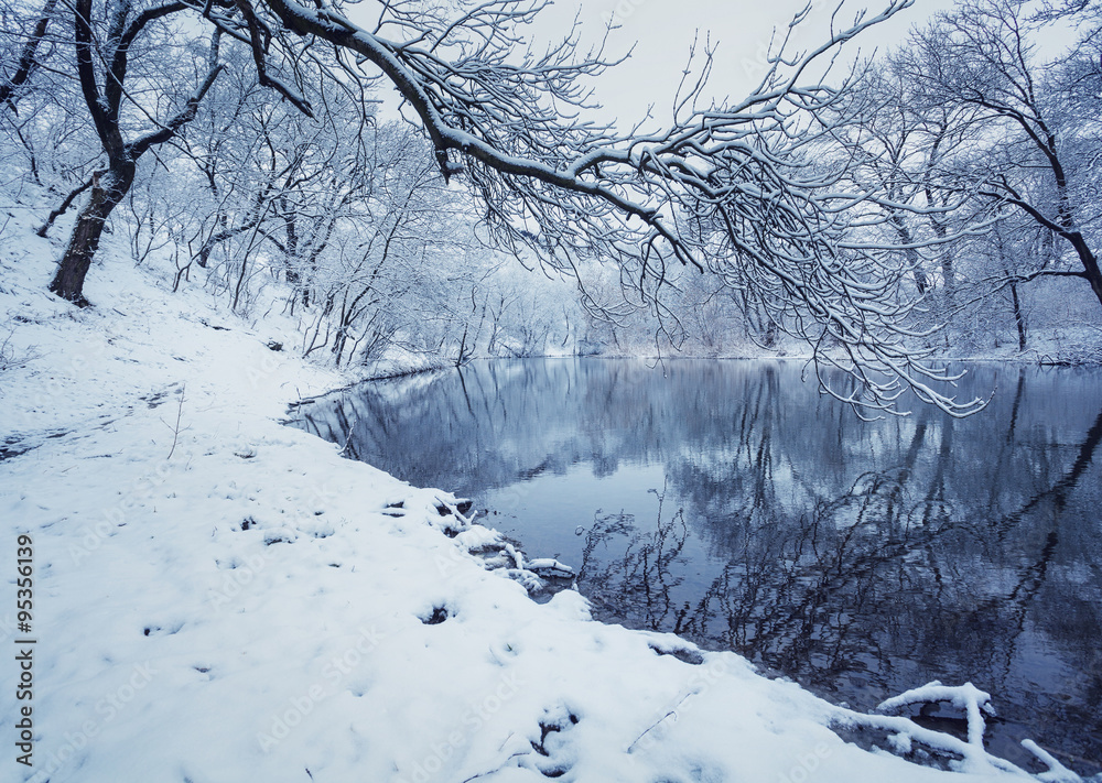 森林中有河流的冬季景观