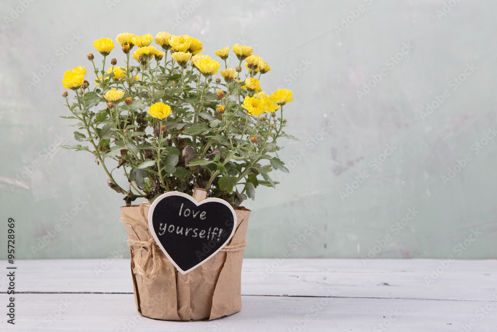 爱你自己——用留言卡在花盆里开出美丽的花朵