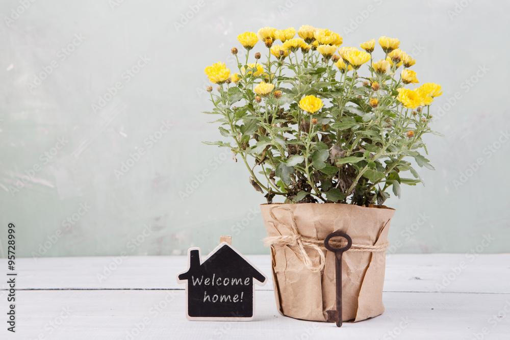 温馨的家-带留言卡的花盆里的美丽花朵