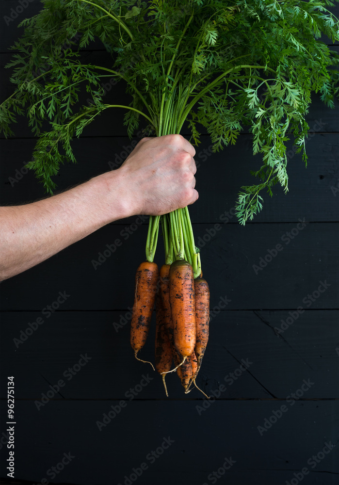 一束新鲜的花园胡萝卜，手里拿着绿叶，黑色木质背景