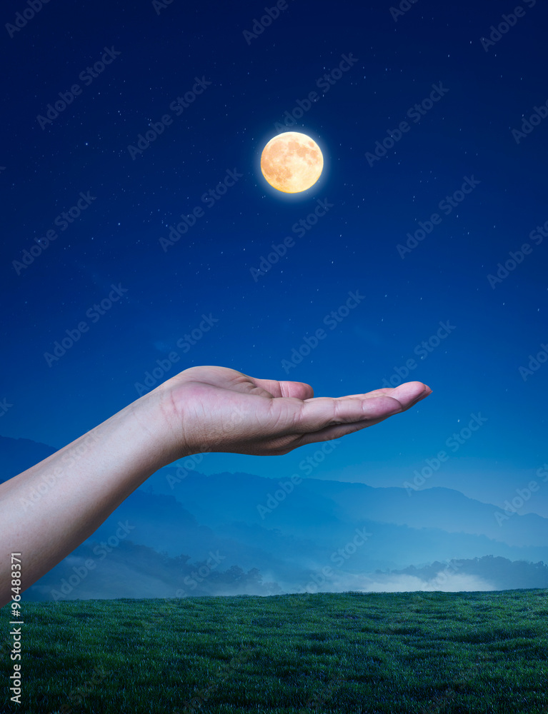 在满月的灯光下，夜晚握着一只空雄的手