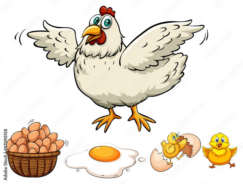Chicken and eggs in basket