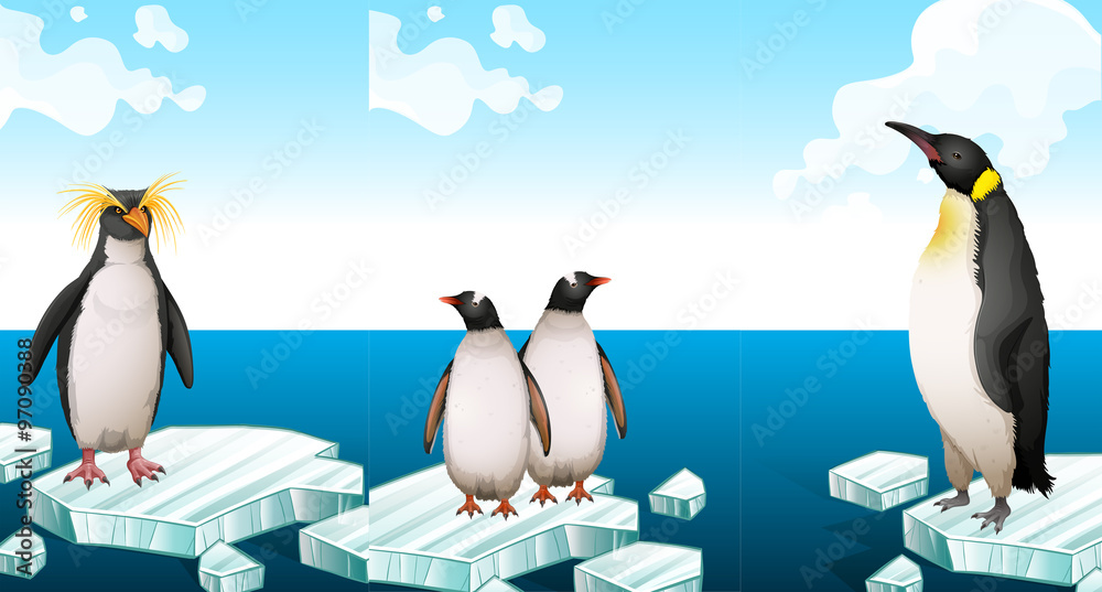 Penguins standing on iceberg