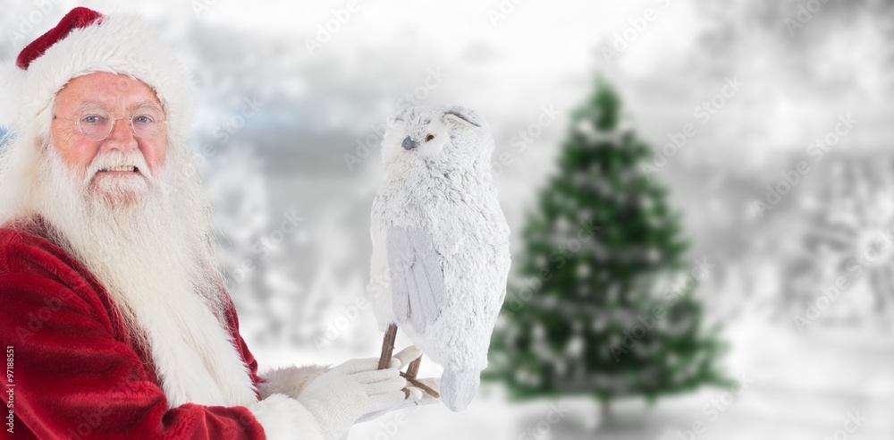 圣诞老人抱着猫头鹰的合成图像